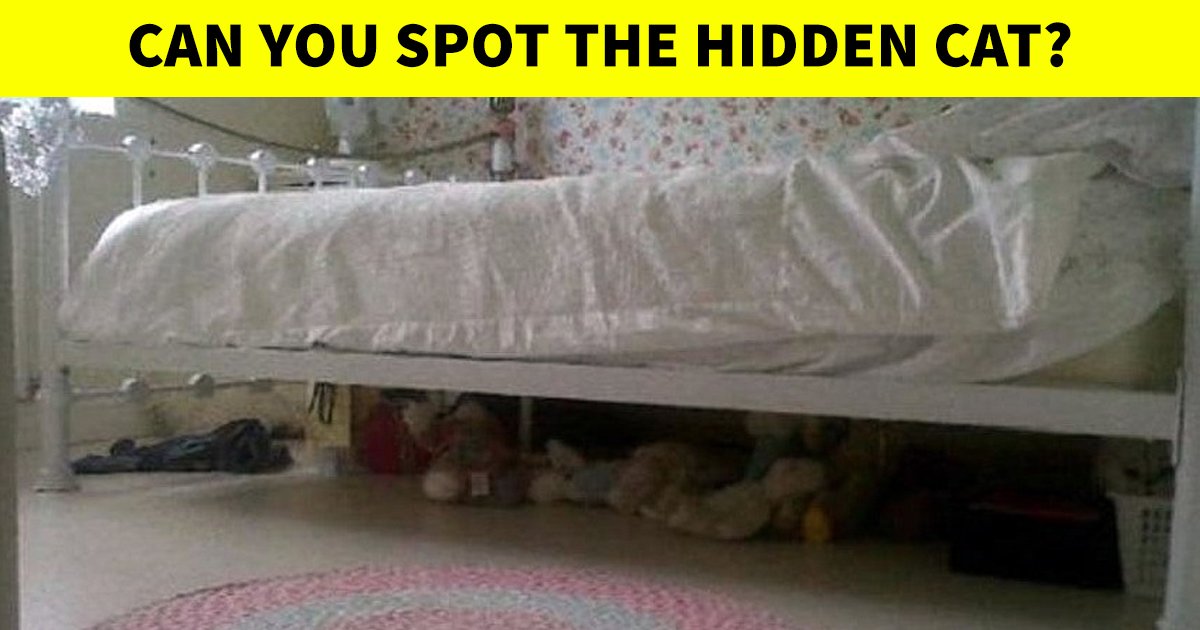 q2 22.jpg?resize=1200,630 - 9 In 10 People Couldn't Spot The Hidden Cat In This Graphic! What About You?