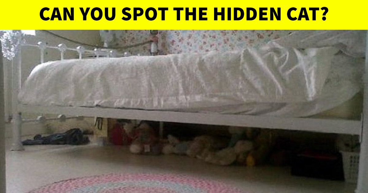 q2 22.jpg?resize=412,275 - 9 In 10 People Couldn't Spot The Hidden Cat In This Graphic! What About You?