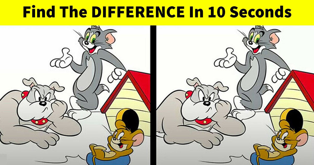 q2 24.jpg?resize=412,275 - Can You Spot The Difference In This Popular Graphic?