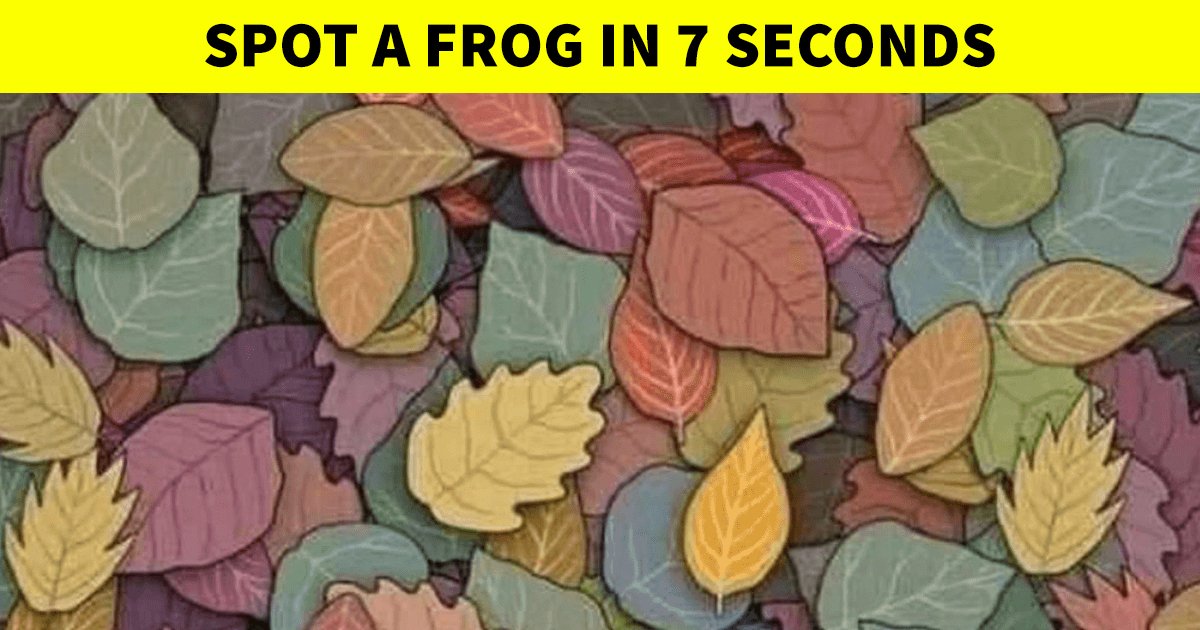 q2 3.jpg?resize=1200,630 - Can You Spot The Hidden Frog In This Picture Puzzle?