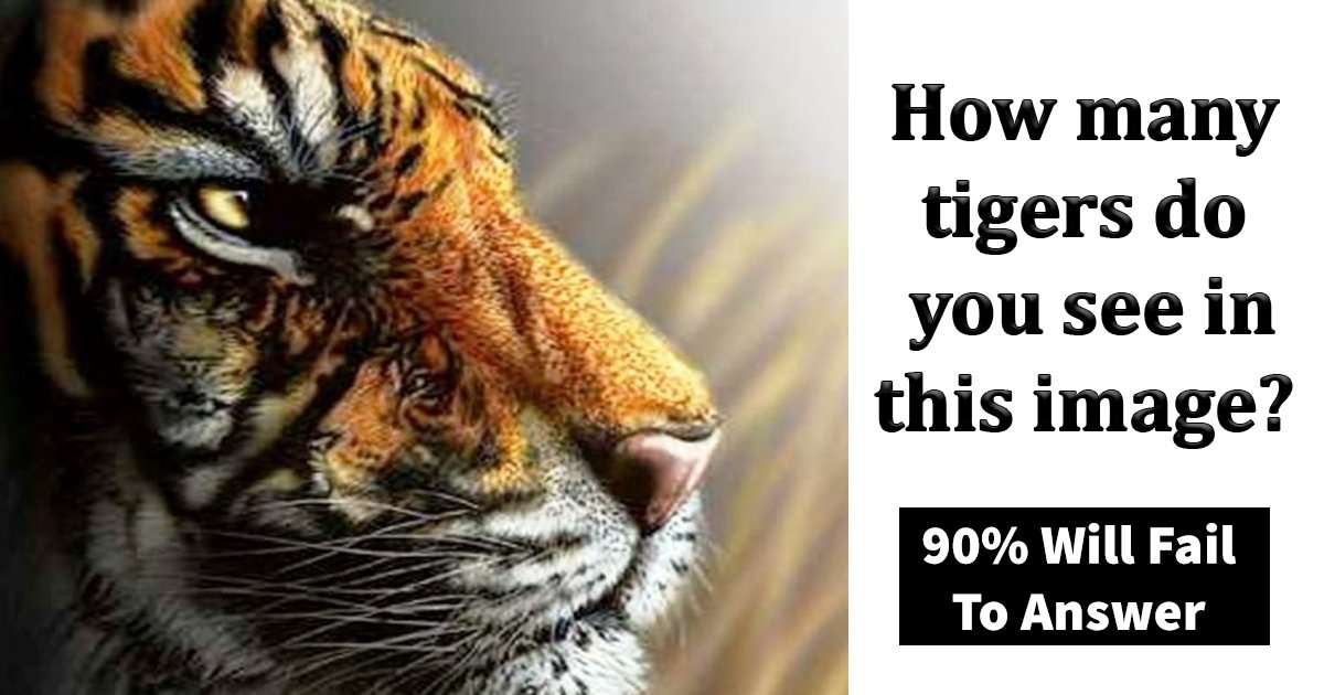 q4 10.jpg?resize=412,232 - How Many Tigers Can You See In This Picture Puzzle?