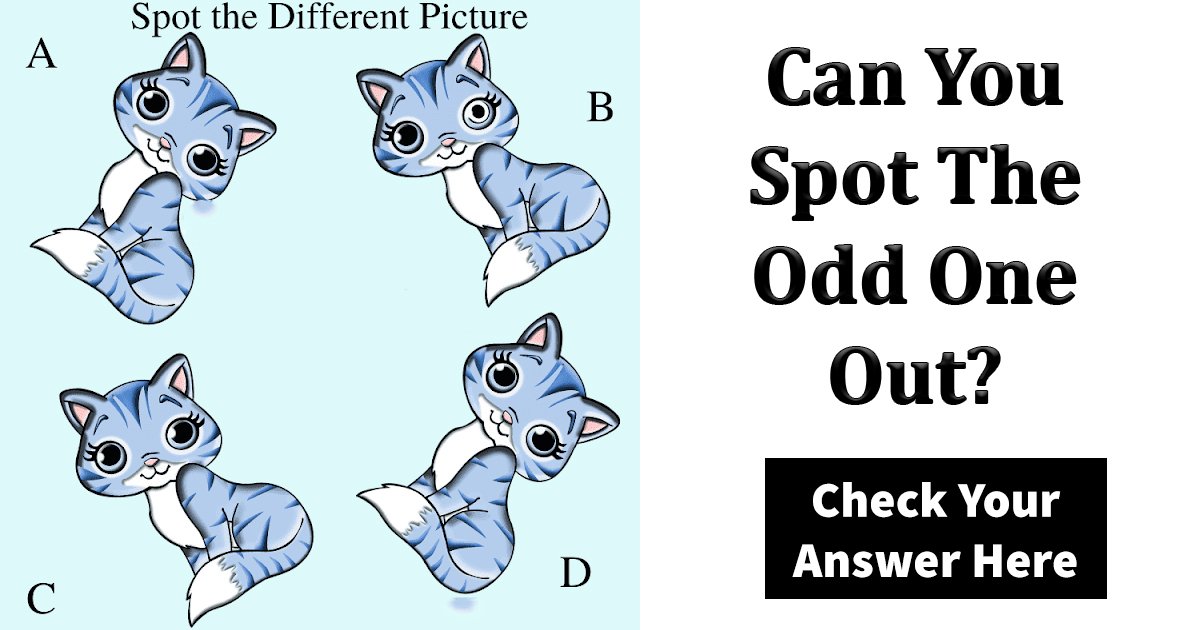 q4 18.jpg?resize=1200,630 - Can You Spot The Different Cat?