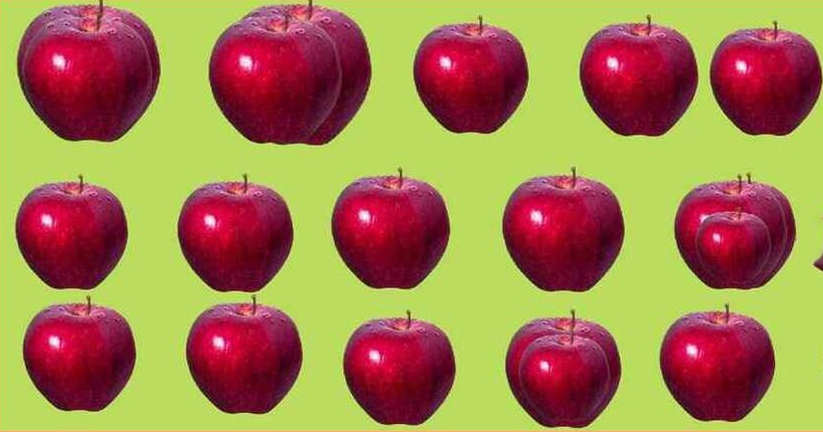 q4 2.jpg?resize=1200,630 - Can You Correctly Count The Number Of Apples In The Picture?