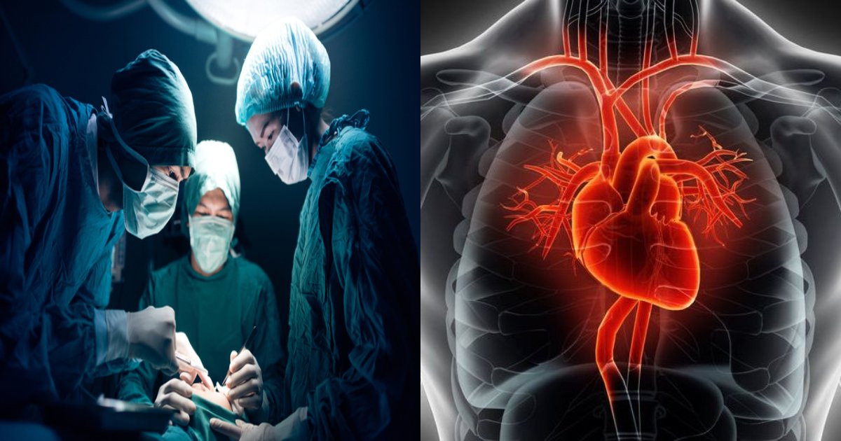 shinnzou.png?resize=1200,630 - 【映像あり】 新しい命を提供、心臓移植を待っている「心臓」の動きがネット上で話題に！「動きがものすごい…」