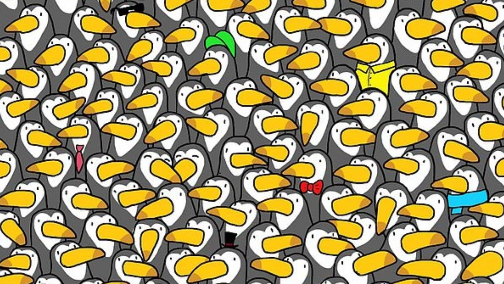 small joys thumbnail 1 10.jpg?resize=412,275 - Can You Spot the Hidden PENGUIN Among The Toucans In 30 Seconds?