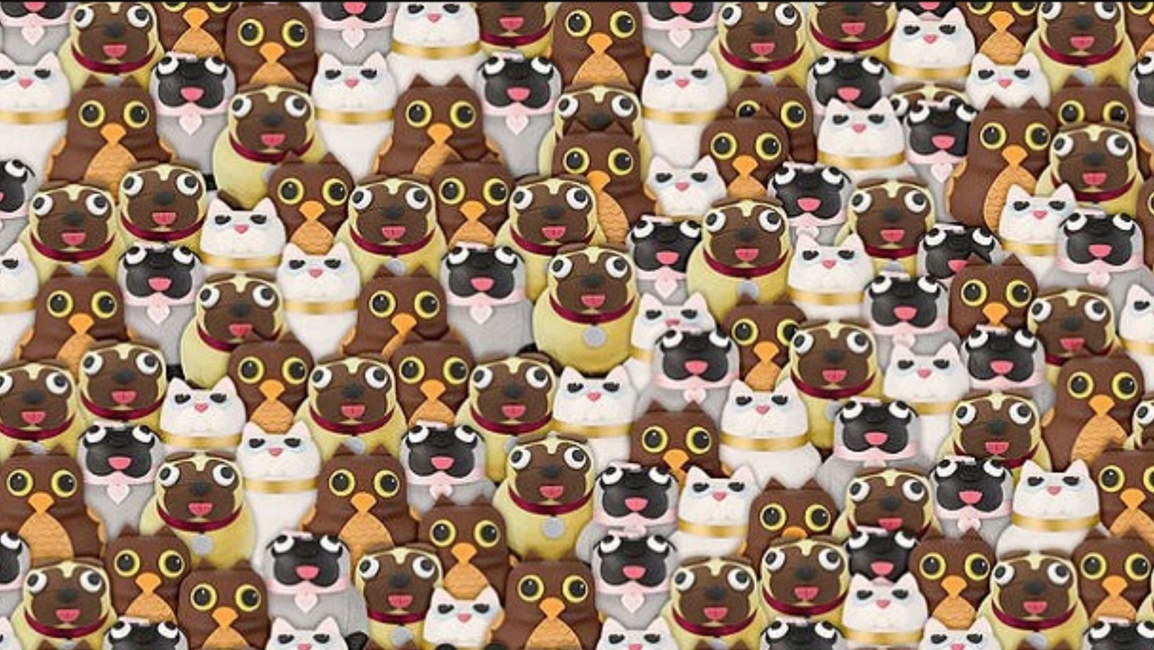 small joys thumbnail 1 9.jpg?resize=1200,630 - Can You Spot The PANDA Among These Animals? Let's See How Fast You Are!