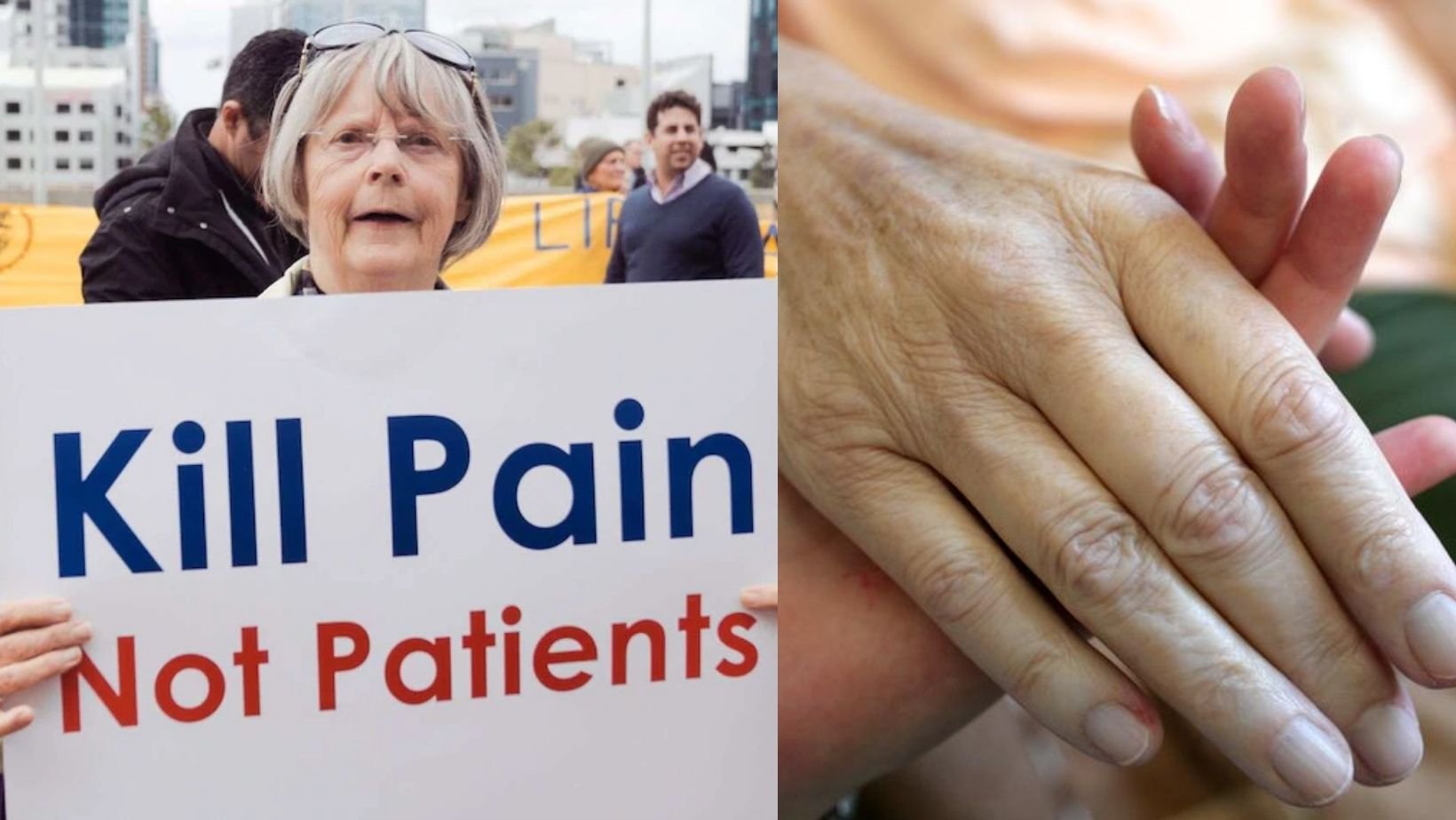 small joys thumbnail 2 8.jpg?resize=412,232 - Voluntary Euthanasia Is Now LEGAL In Australia