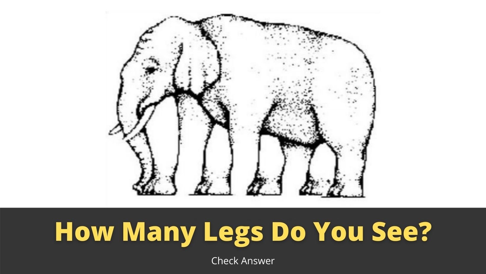 small joys thumbnail 3 6.jpg?resize=412,232 - Optical Illusion: How Many Legs This Elephant Has?