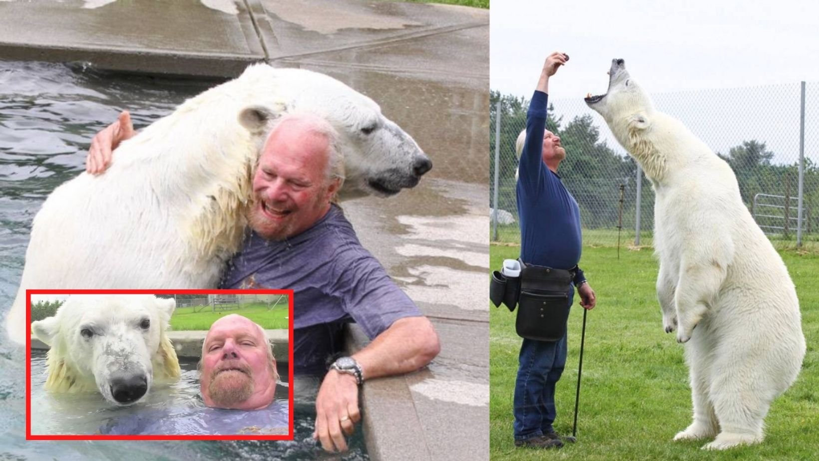 small joys thumbnail 6 1.jpg?resize=1200,630 - Man Who Swims & Wrestles With Fully Grown Pet Polar Bear Says Their Relationship Is Incomparable