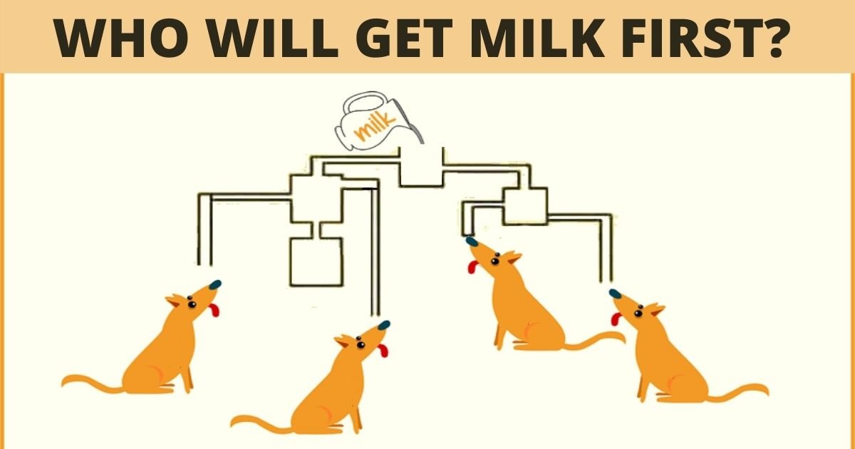 source bhavinionline photo edited 1.jpg?resize=412,275 - Which Of The Dogs Gets To Drink Milk First?