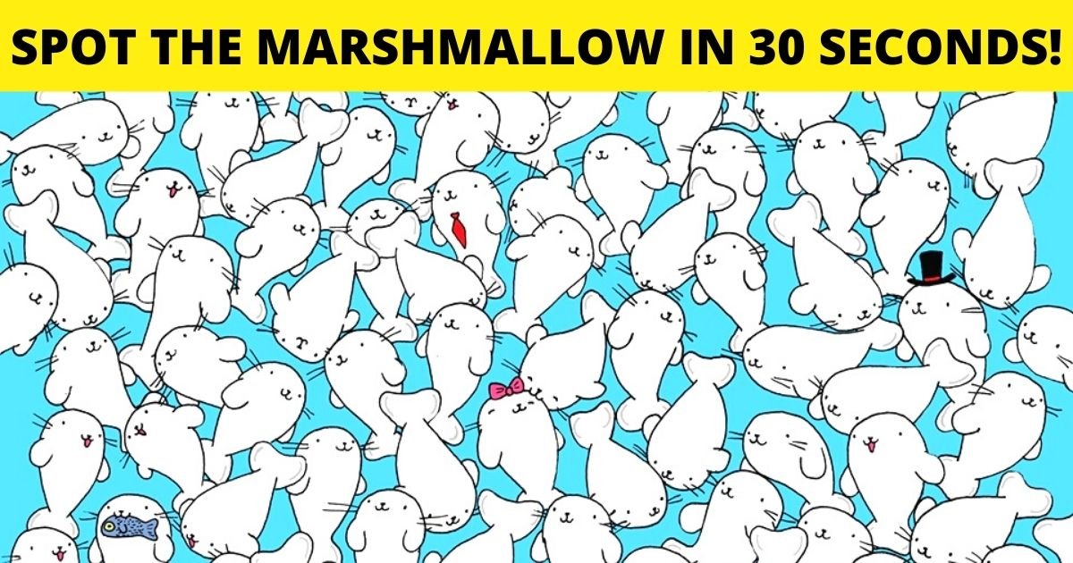 spot the marshmallow.jpg?resize=1200,630 - How Fast Can You Spot The Marshmallow Hiding Among The Seals?