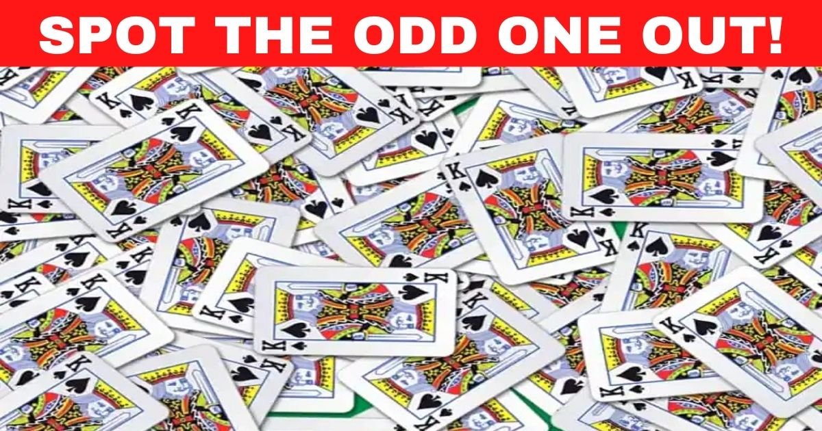 Find The Difference - Spot Odd One for windows download free