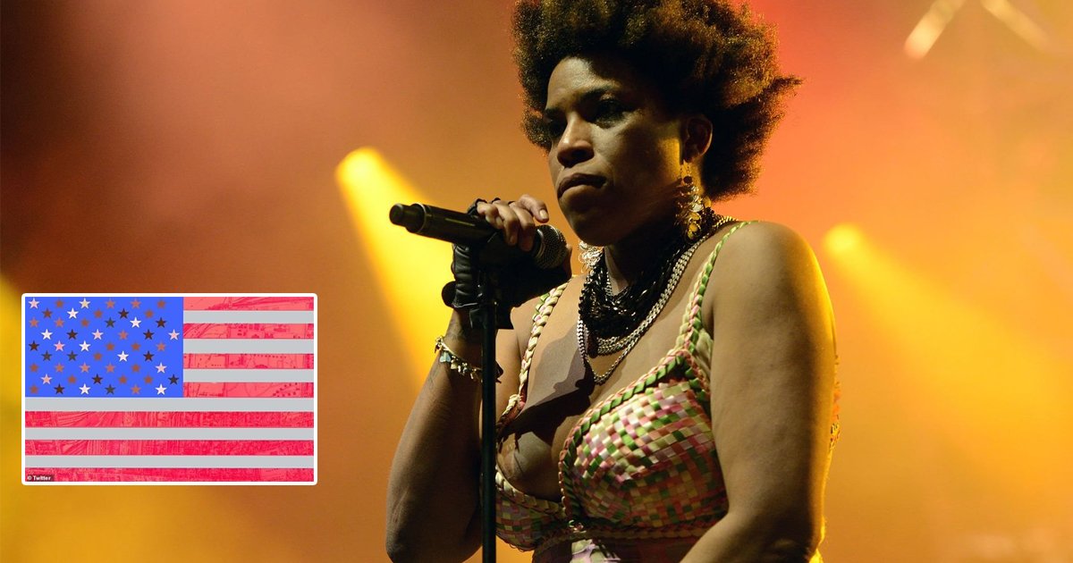 t1 39.jpg?resize=1200,630 - "US Should Ditch The Stars & Stripes"- Singer Macy Gray Says It's Time For A NEW American Flag
