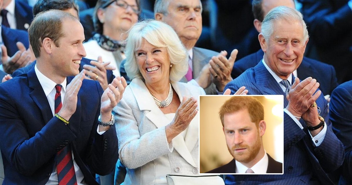 Prince Harry AXED From Image Shared By Prince Charles For Prince ...