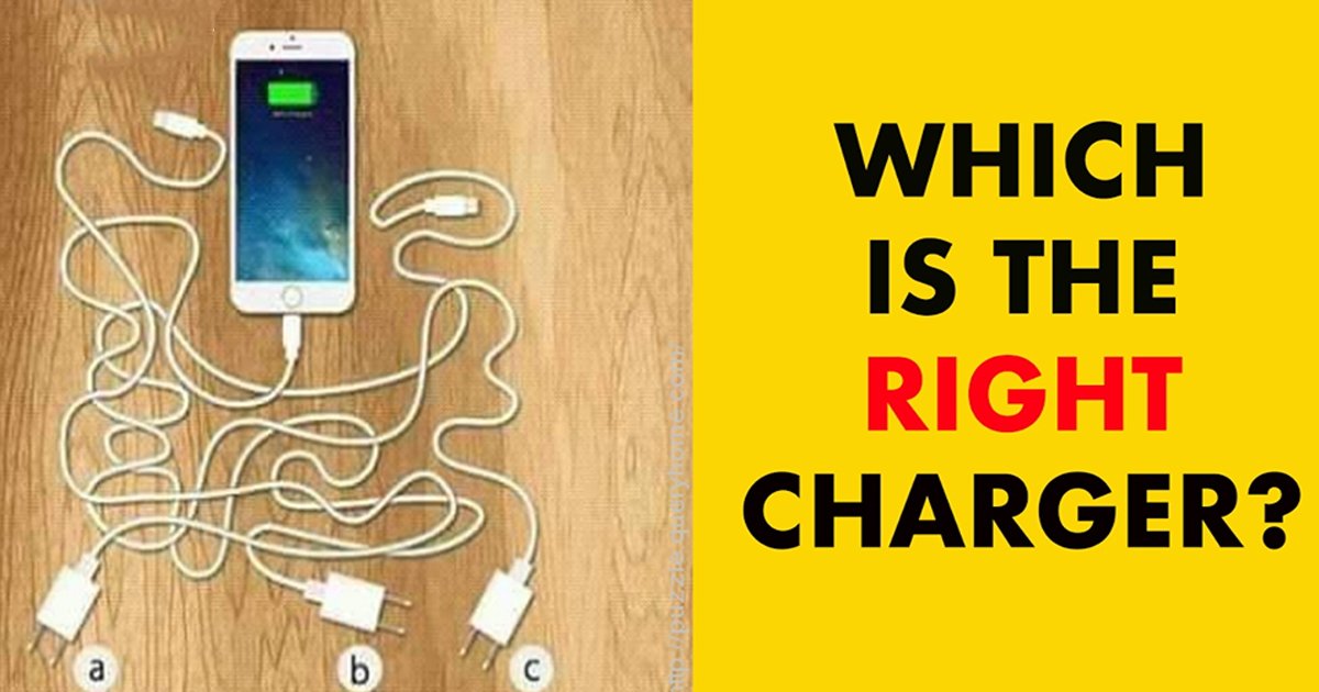 t4 45.jpg?resize=1200,630 - This Phone Charger Puzzle Is Creating A Stir Online! Can You Answer It Correctly?