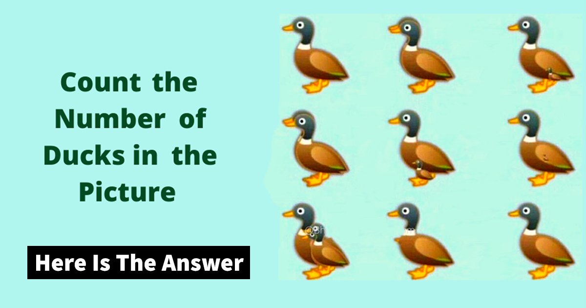 t5 35.jpg?fit=1024%2C538&ssl=1&strip=all - Can You Correctly Count The Number Of Ducks In This Picture Riddle?