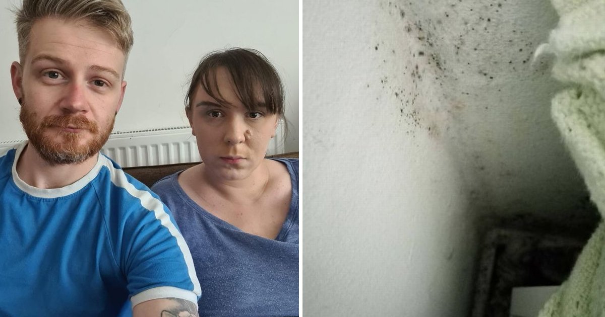 t5 50.jpg?resize=1200,630 - Moldy Flat Horror As Family Claim 'New Spores Grow On Their Toddlers' Bed Each Week'
