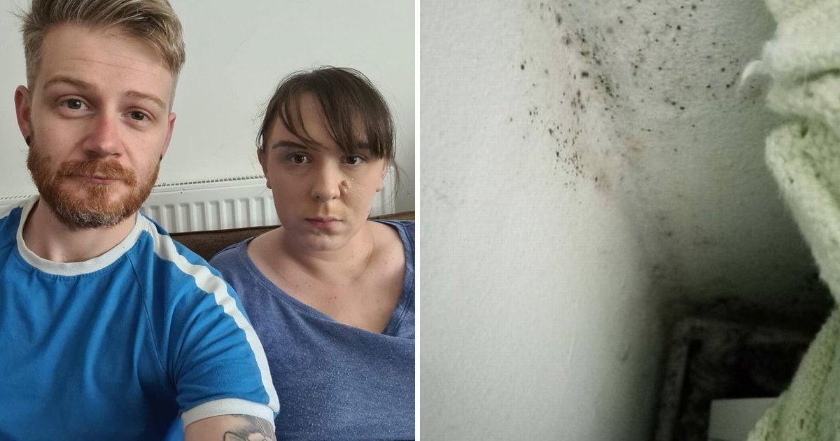 t5 50.jpg?resize=412,275 - Moldy Flat Horror As Family Claim 'New Spores Grow On Their Toddlers' Bed Each Week'