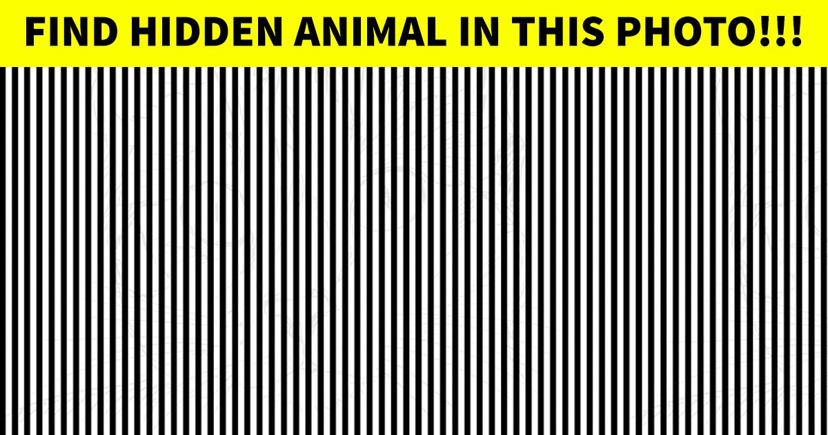 t6 48.jpg?resize=412,275 - This Tricky Observation Test Is Causing A Stir Online! Can You Figure It Out?