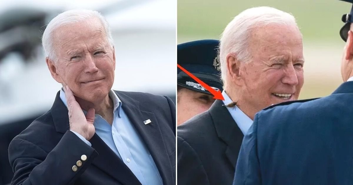 untitled design 13 1.jpg?resize=412,232 - President Biden Ambushed By A Massive Cicada As He Left For His First Trip Overseas As President