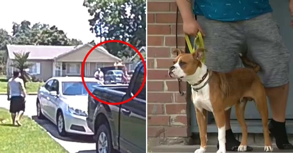 vargas5.jpg?fit=1024%2C538&ssl=1&strip=all - Mother Accidentally Shot Her 5-Year-Old SON After Firing On Neighbor's Dog That Wasn’t Running Or Barking At Them
