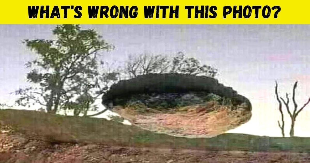 whats wrong with this photo.jpg?resize=412,275 - This Is A REAL Photo, But Most People Can’t Figure Out What’s Wrong! Can You?