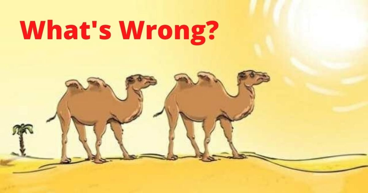 whats wrong.jpg?resize=412,275 - How Fast Can You Spot The Mistake In This Desert Graphic?