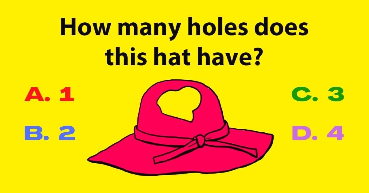 a 1.jpg?resize=1200,630 - Can You Figure Out How Many Holes There Are In This Hat? 75% Will Fail To Answer Correctly!