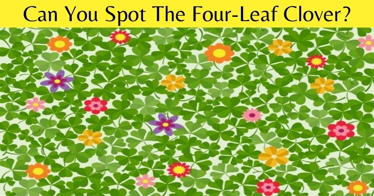 can you spot the four leaf clover.jpg?resize=412,275 - 9 Out Of 10 People Can't See The Four-Leaf Clover! How About You?