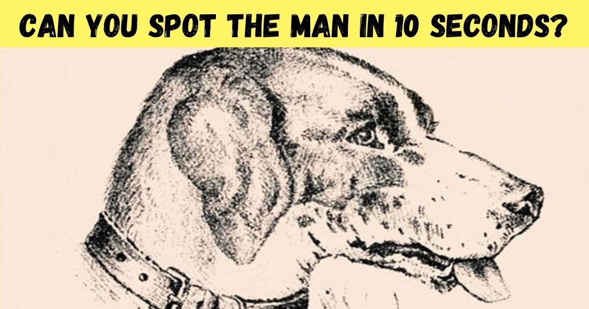 can you spot the man in 10 seconds.jpg?resize=412,275 - How Quickly Can You Find The Dog's Owner In This Picture? 90% Of People Couldn’t See It!