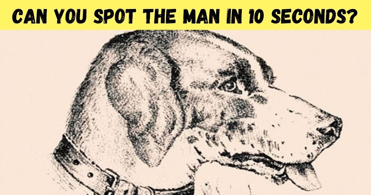 can you spot the man in 10 seconds.jpg?resize=412,232 - How Quickly Can You Find The Dog's Owner In This Picture? 90% Of People Couldn’t See It!