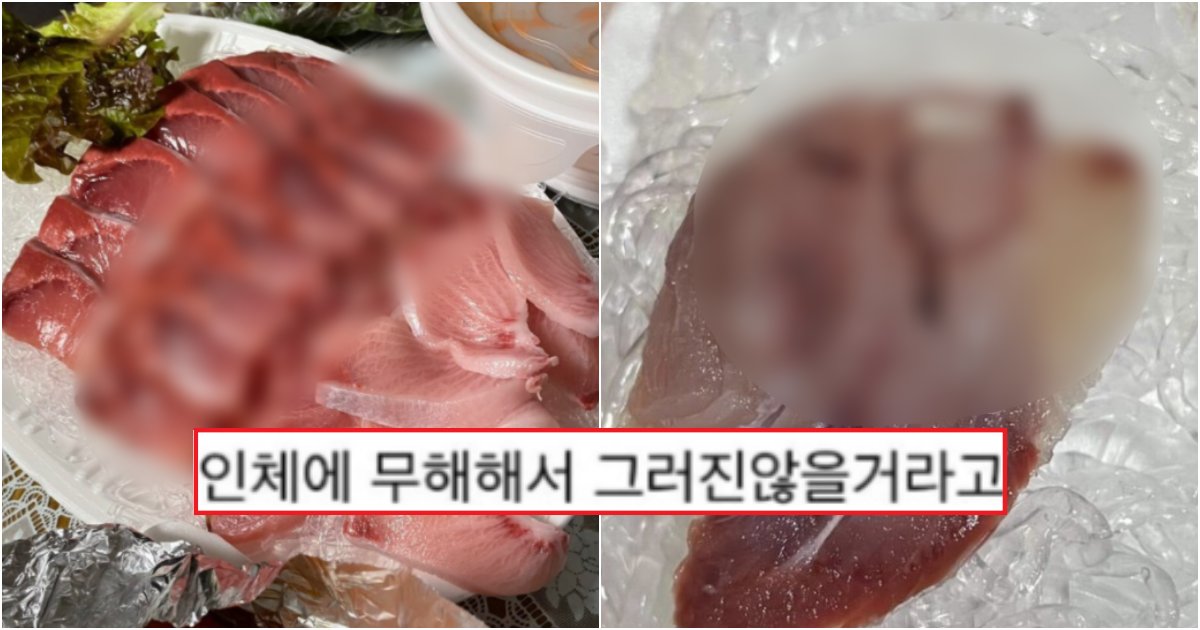 collage 519.png?resize=412,275 - 회 먹을 때, 회를 한점씩 살펴보고 먹어야 하는 충격적인 이유 (+사진)