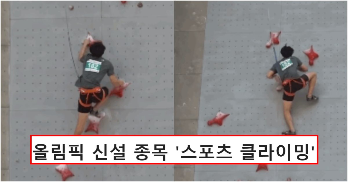 collage 739.png?resize=412,275 - 이번 올림픽에 새로 만들어져 반응 난리 난 스포츠 클라이밍 선수들 속도 클라스 (영상)