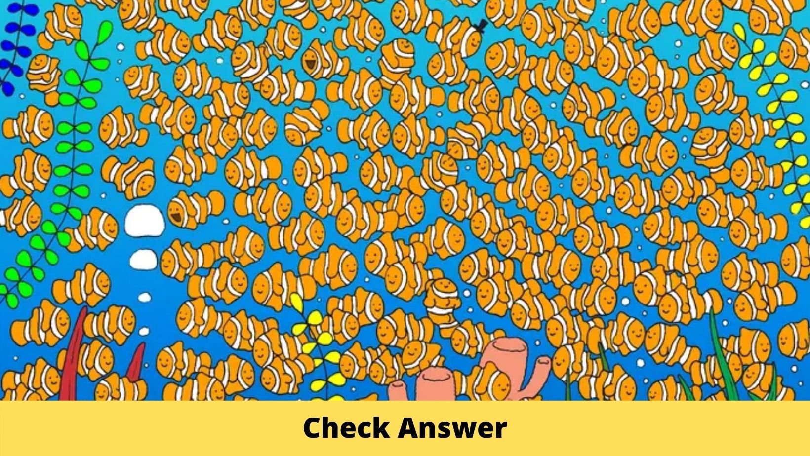 cover 21.jpg?resize=1200,630 - Finding Goldie: There's A GOLD FISH Among The Clown Fishes Below, Can You Spot It?