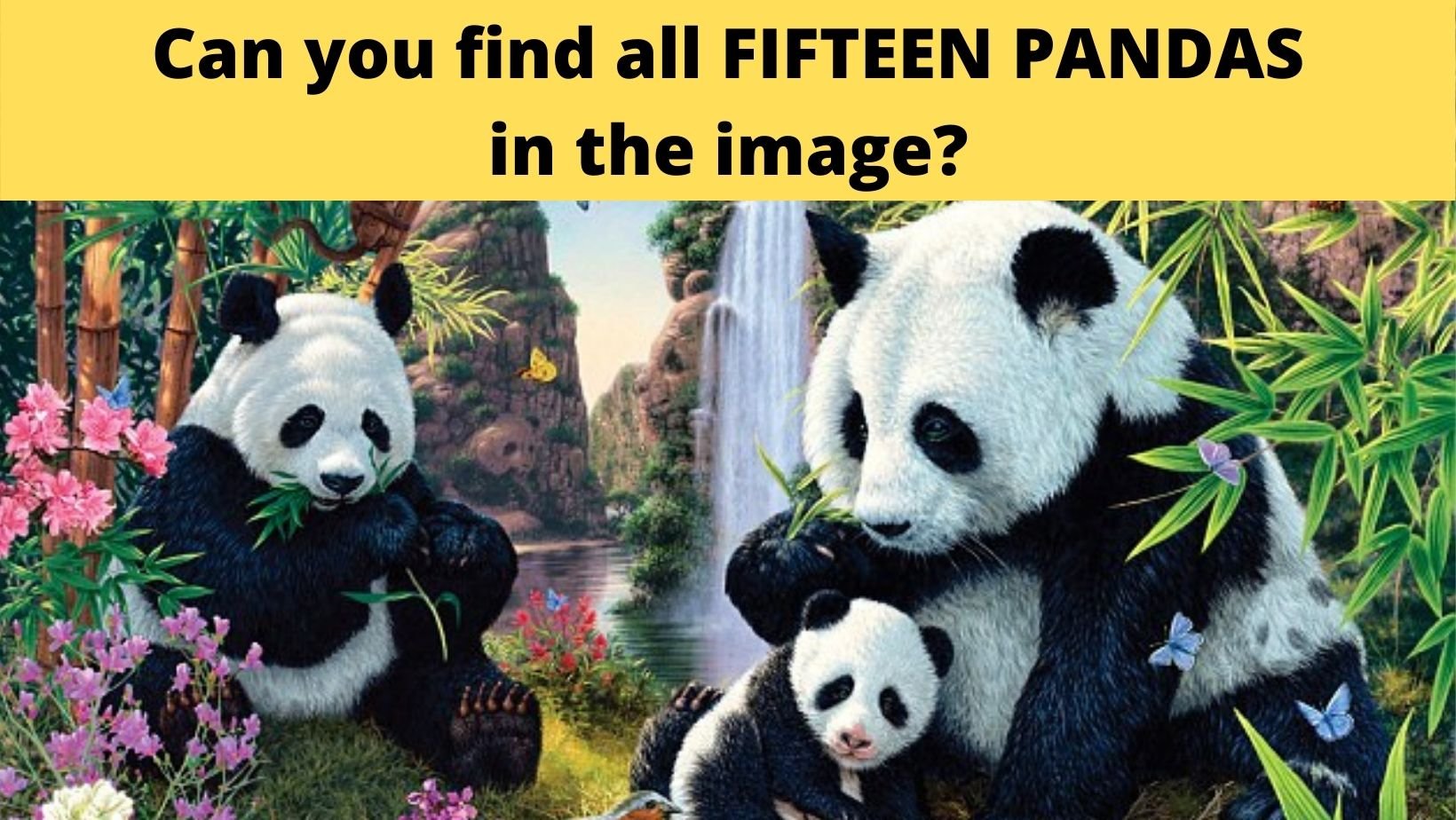 cover 22.jpg?resize=412,232 - There Are FIFTEEN PANDAS In This Photo, Can You Find Them All?