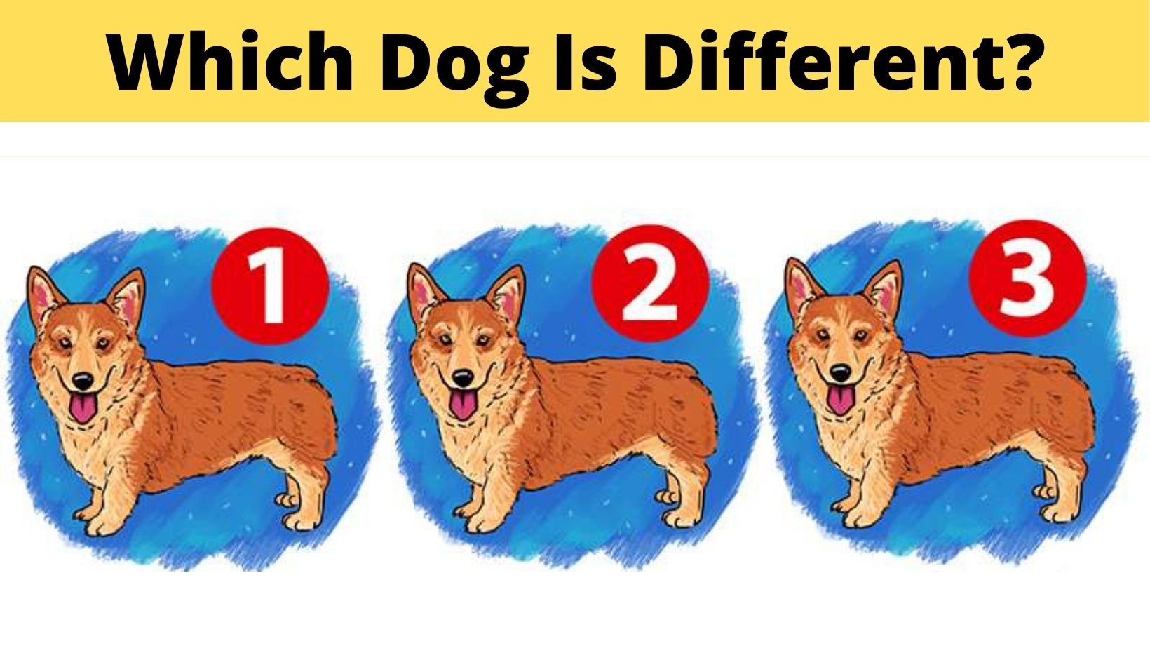 cover 26.jpg?resize=1200,630 - Which Dog Is Different From The Rest?