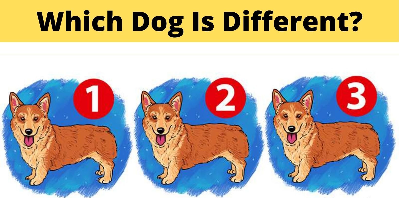 cover 26.jpg?resize=412,275 - Which Dog Is Different From The Rest?