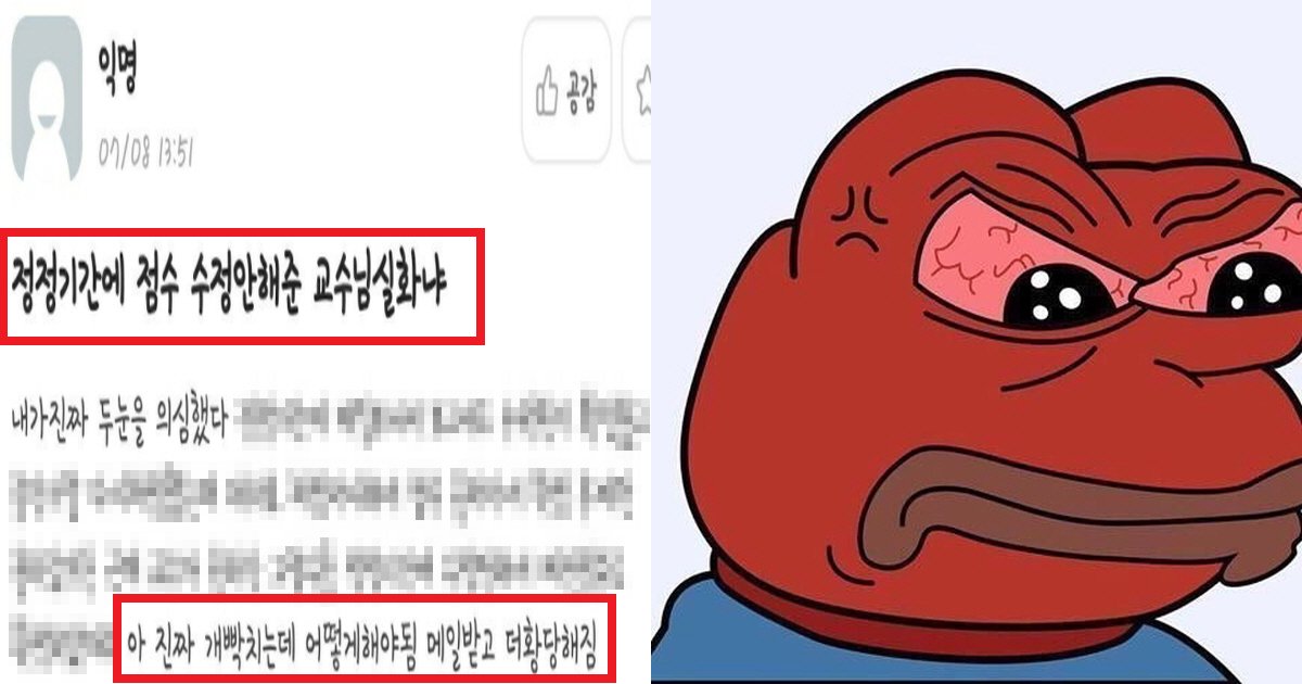 eab590ec8898ec8db8.png?resize=412,275 - "교수님 장난하세요?"...학생의 점수를 수정 안 해준 교수가 내던진 '충격' 변명