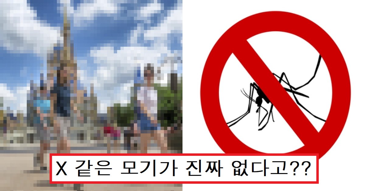 ebaaa8eab8b0ec8db8.png?resize=412,275 - "여기가 천국입니까?"...작은 모기 한 마리도 발견할 수 없다는 '충격' 장소