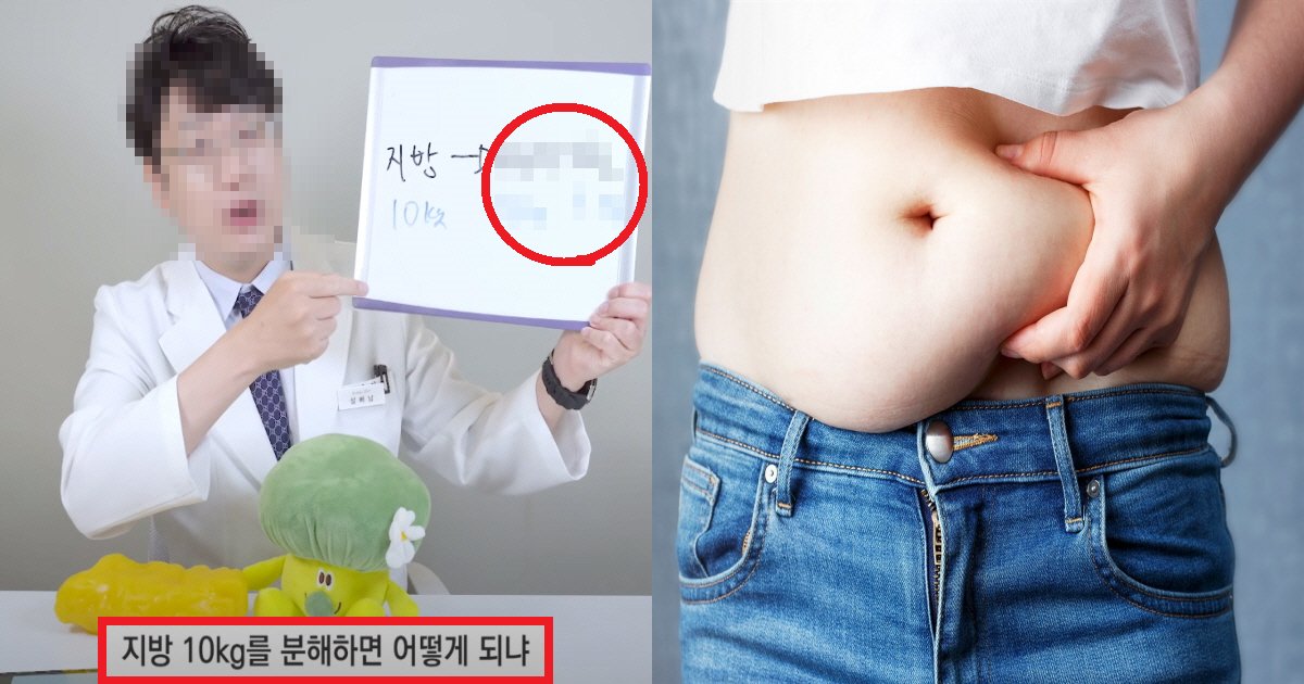 eca780ebb0a9ec8db8.png?resize=412,275 - "진짜 이렇게 빠진다고?"...지방이 우리 몸에서 나가는 '충격' 과정