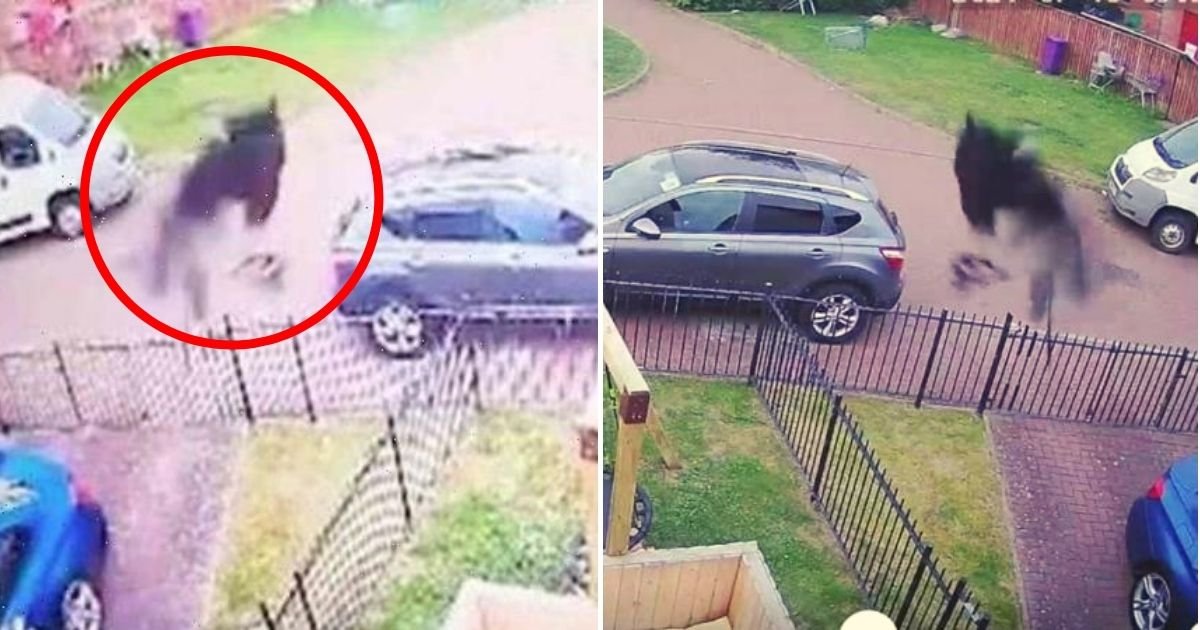 figure5.jpg?resize=1200,630 - Mother Calls Priest To Bless Home After She Saw A 'Black Ghostly Figure' She Describes As A 'Horse With Human Legs'