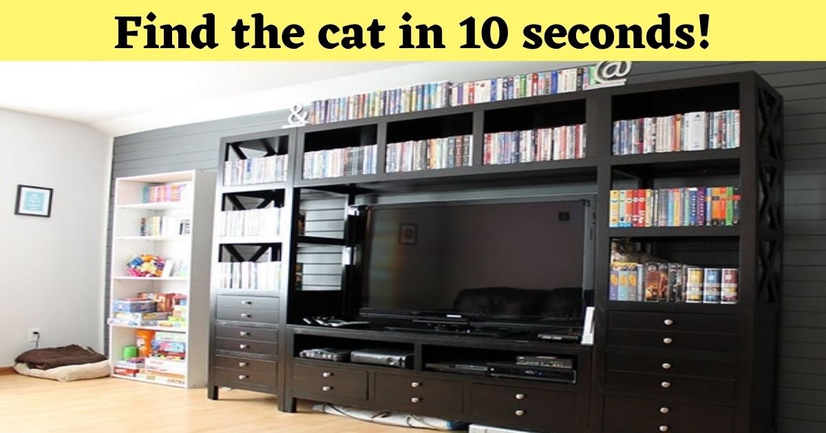 find the cat in 10 seconds 1 1.jpg?resize=412,232 - Almost No One Can See The Hidden Cat In This Photo! But Can You?