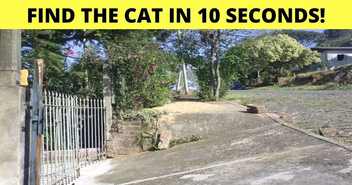 find the cat in 10 seconds 2.jpg?resize=1200,630 - Only 1 In 20 Viewers Could Find The Hidden Cat In This Photo! Do You See It?
