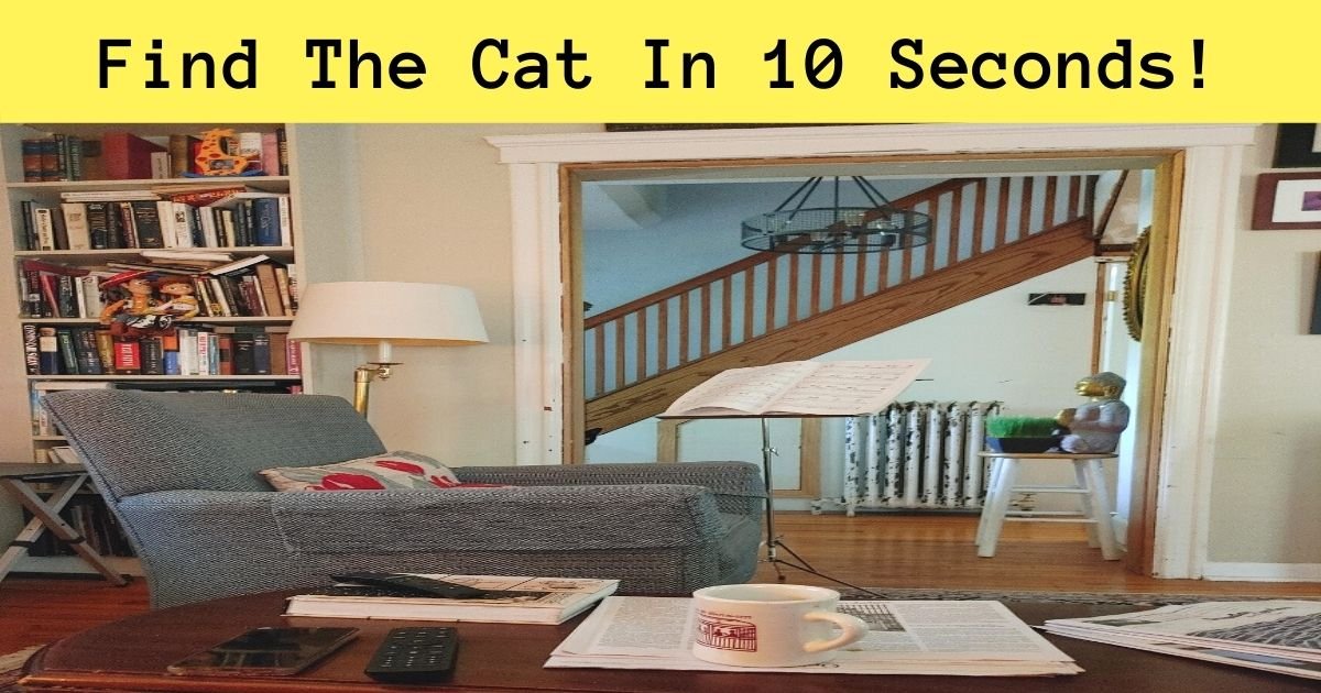 find the cat in 10 seconds.jpg?resize=1200,630 - How Fast Can You Spot The Hidden Cat? 90% Of Viewers Couldn’t Find It!