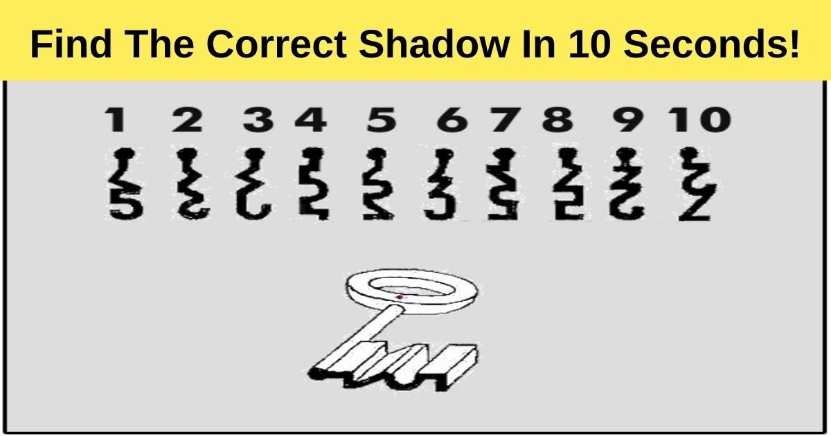 find the correct shadow in 10 seconds.jpg?resize=1200,630 - 90% Of Viewers Failed To Choose The Correct Shadow! But Can You Pass The Test?
