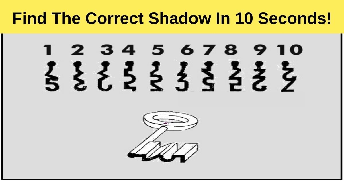 find the correct shadow in 10 seconds.jpg?resize=412,275 - 90% Of Viewers Failed To Choose The Correct Shadow! But Can You Pass The Test?