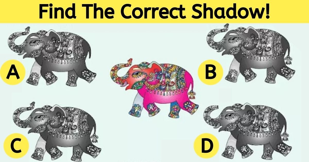 find the correct shadow.jpg?resize=1200,630 - How Fast Can You Find The Correct Shadow? Only 1 in 5 People Will Succeed!