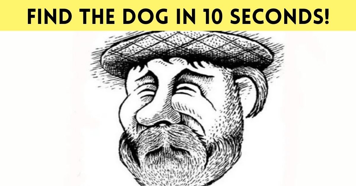 find the dog in 10 seconds.jpg?resize=412,275 - 90% Of People Can't See The Dog In This Picture! But Can You?