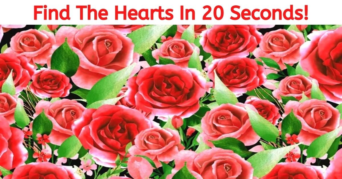 find the hearts in 20 seconds.jpg?resize=1200,630 - How Fast Can You Find The Hearts Hiding Among The Roses? 99% Of Viewers Can’t See Them All!
