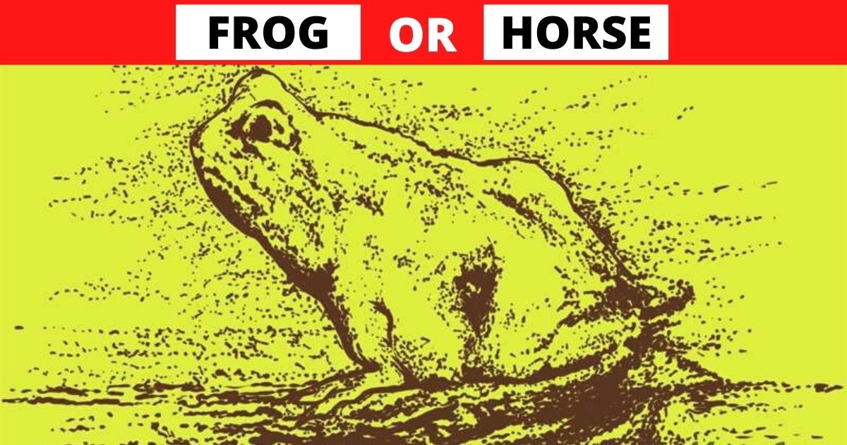 frog.jpg?resize=1200,630 - Do You See A Horse Or A Frog? Most People Can't See Them Both!
